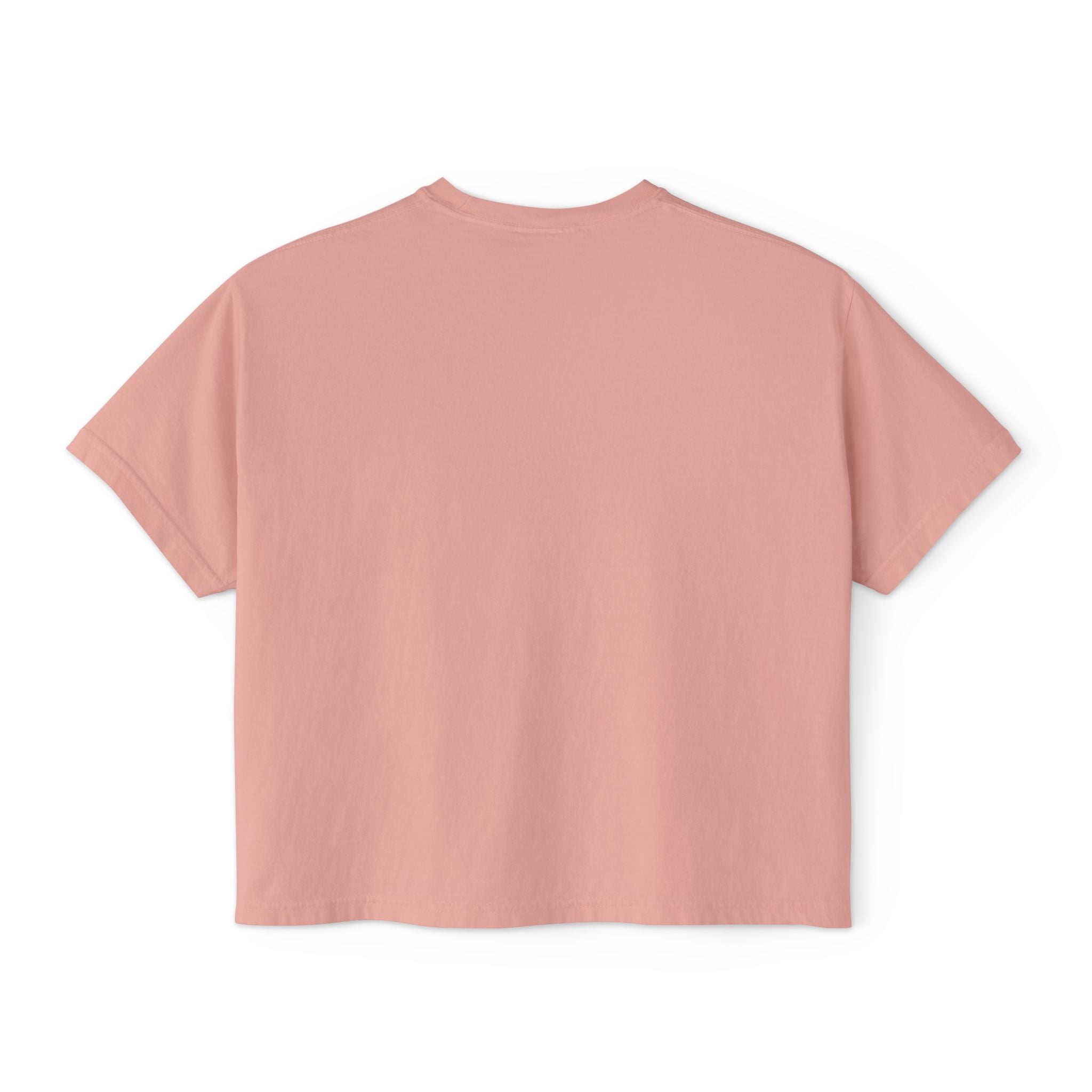 Women's Boxy Tee — "Save Your White Horse and Carriage... I Want a Dragon" Graphic Tee
